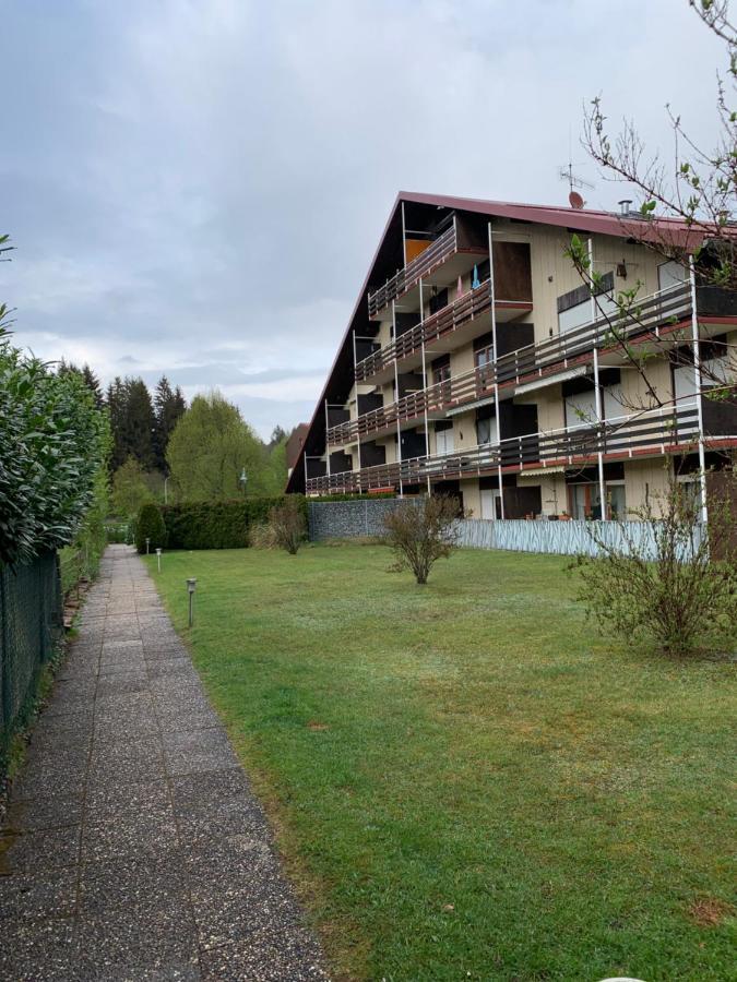 Ferienwohnung Lara Ludwigswinkel Exteriör bild